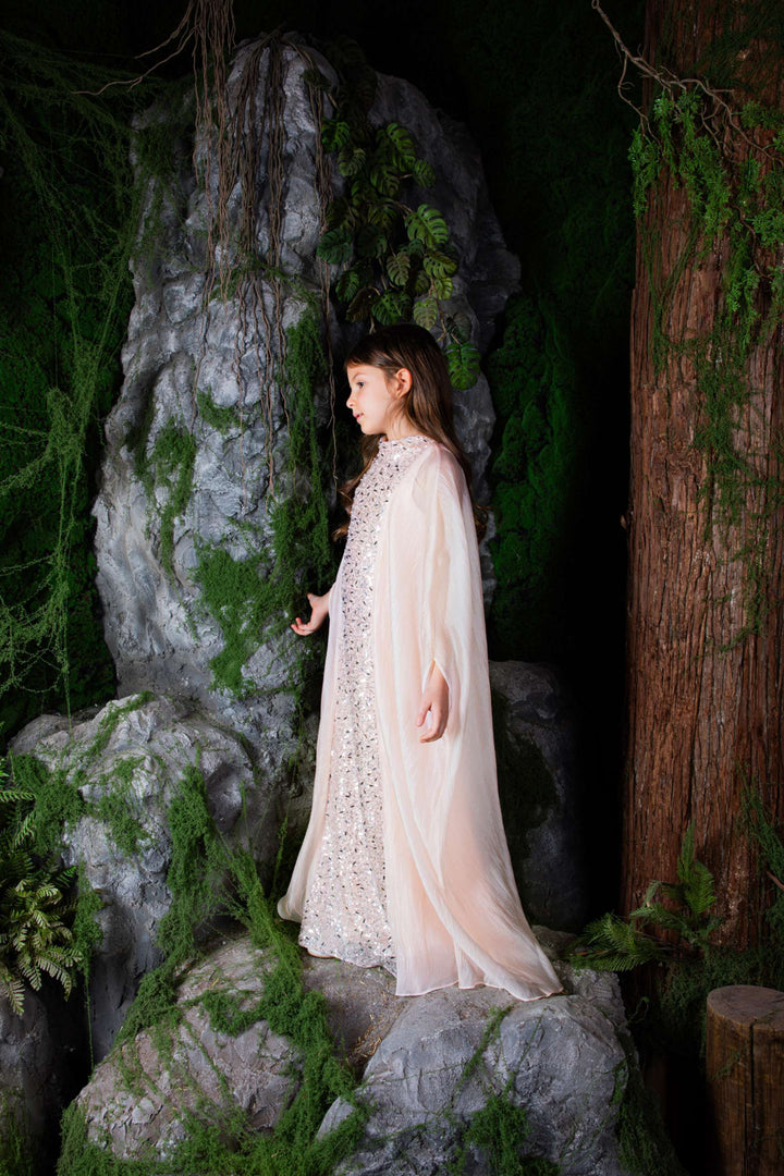 Sequin Column Maxi Dress with Sheer Cape Overlay – BLUSH