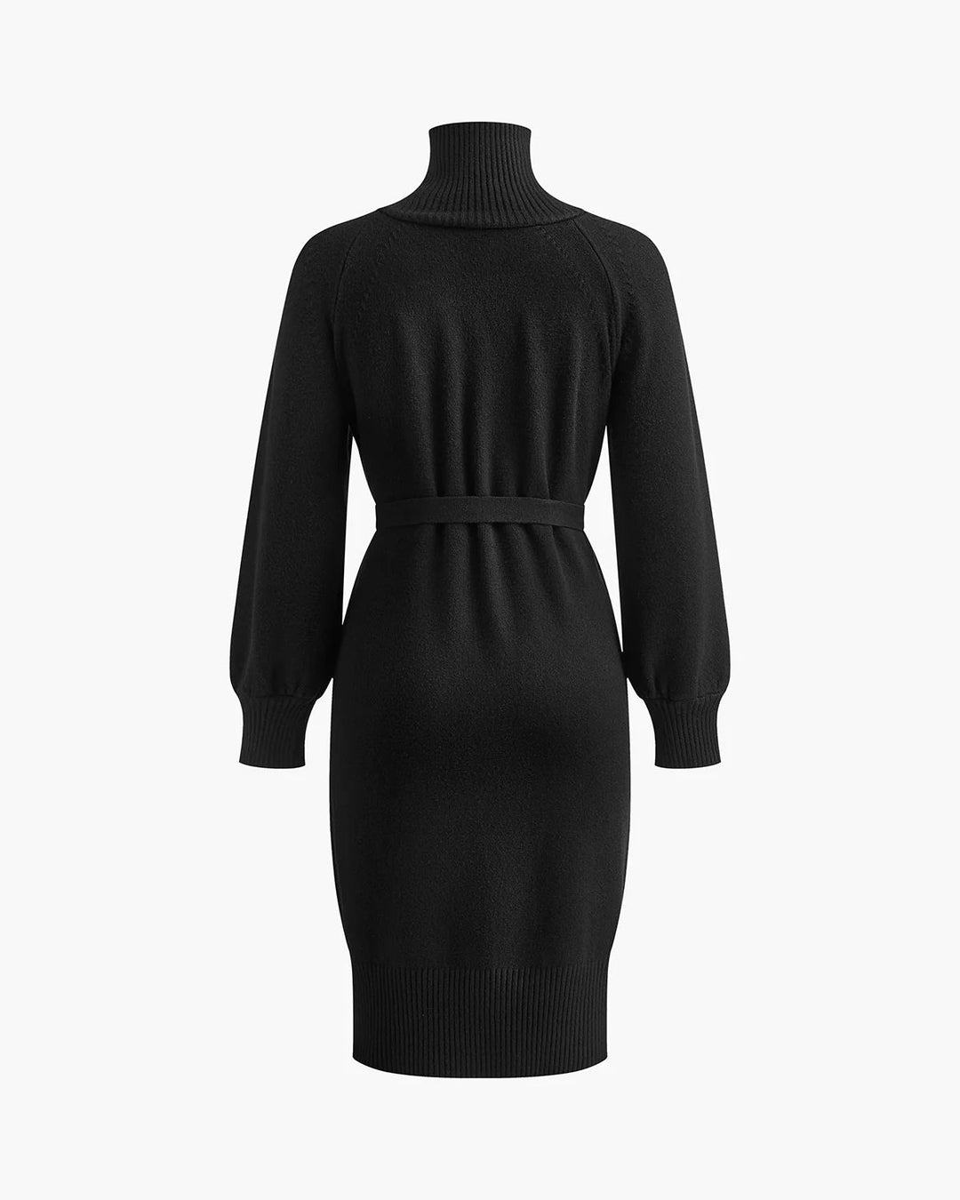 ribbed turtleneck knit dress with side buttons – ALORA