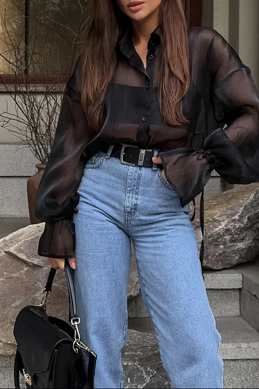 Sheer Chiffon Button-Up Blouse – TAREK