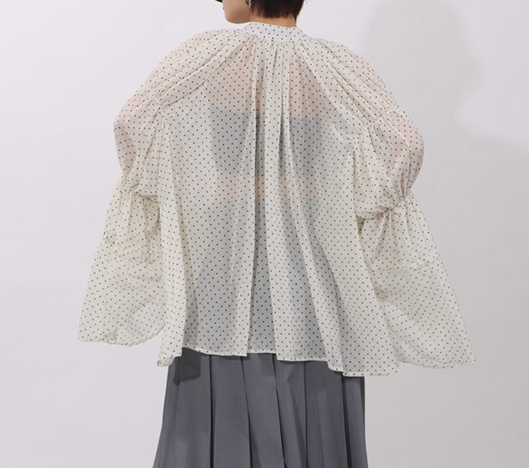 ruffled sheer polka dot blouse with contrast trim – ELARA