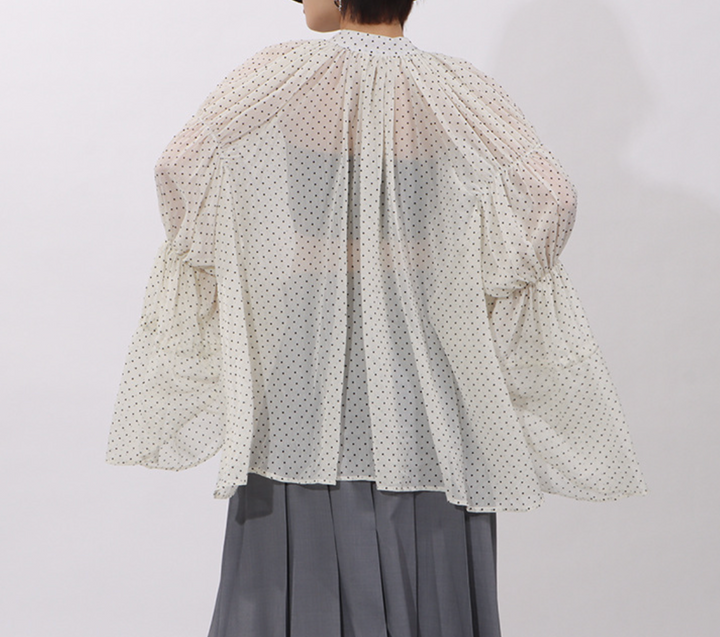 ruffled sheer polka dot blouse with contrast trim – ELARA