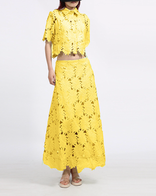 Floral Lace Crop Top & Maxi Skirt Set – AZURE